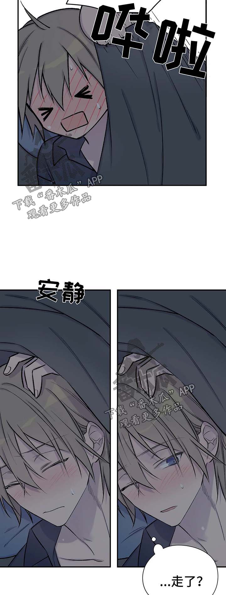 第40章：真的喜欢你10