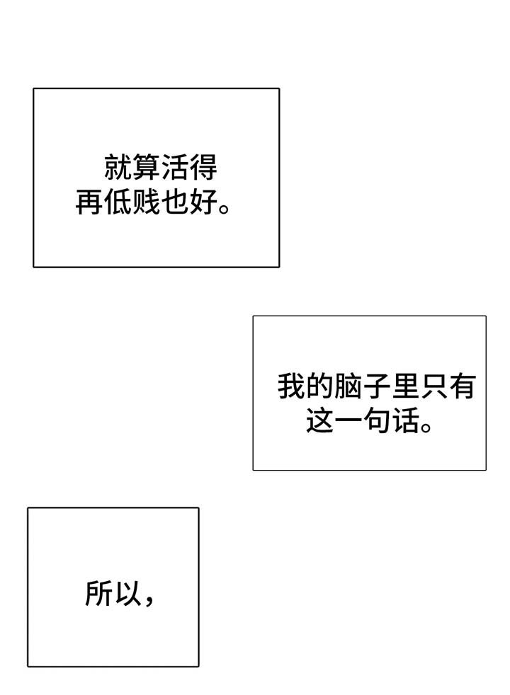 第38章：坎坷的一生8