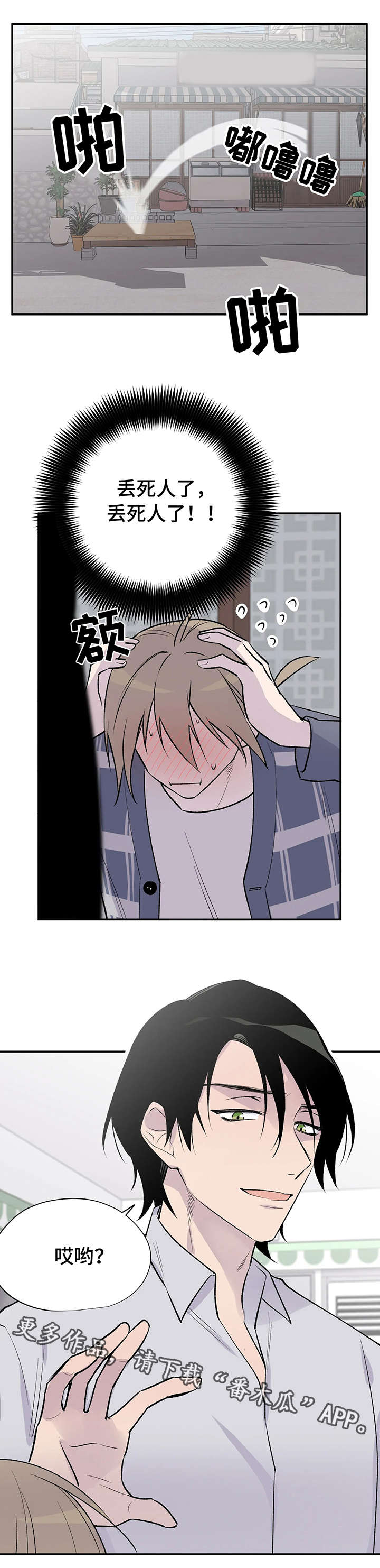 第19章：问不出口11
