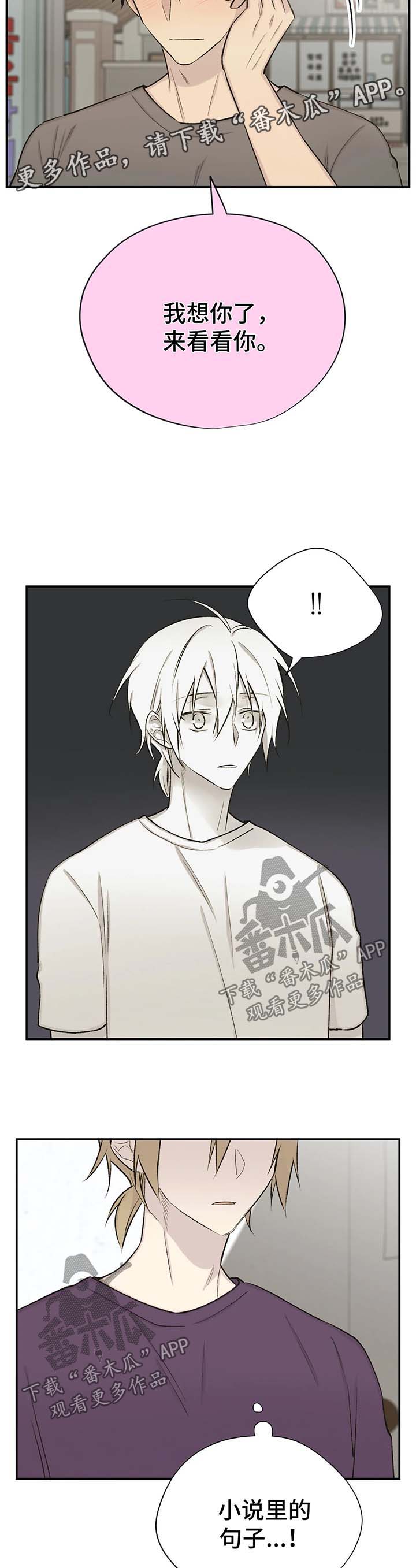 第41章：剧情再现12