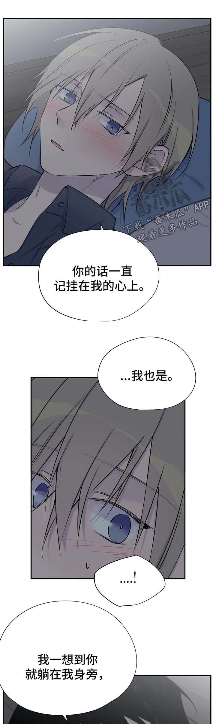 第40章：真的喜欢你8