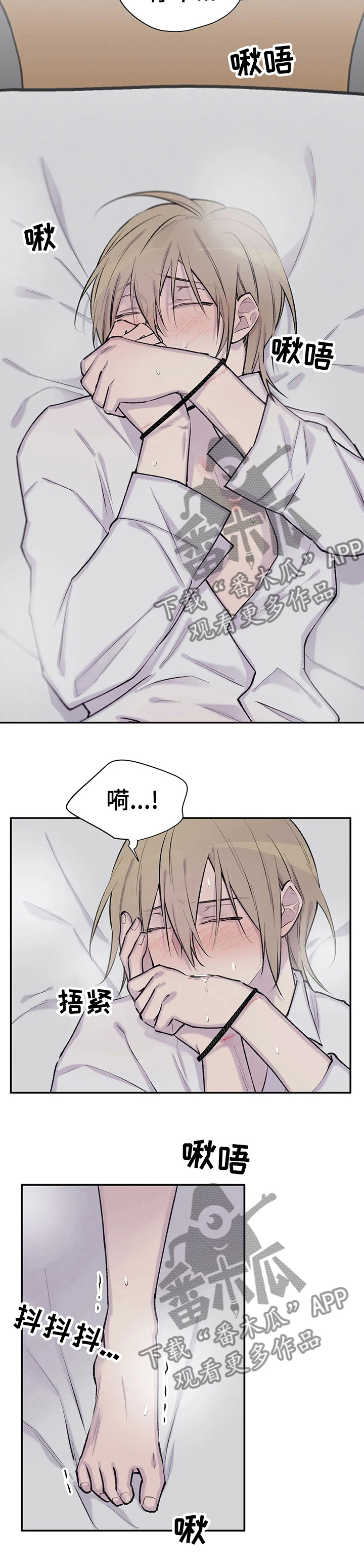第84章：被捆住了5