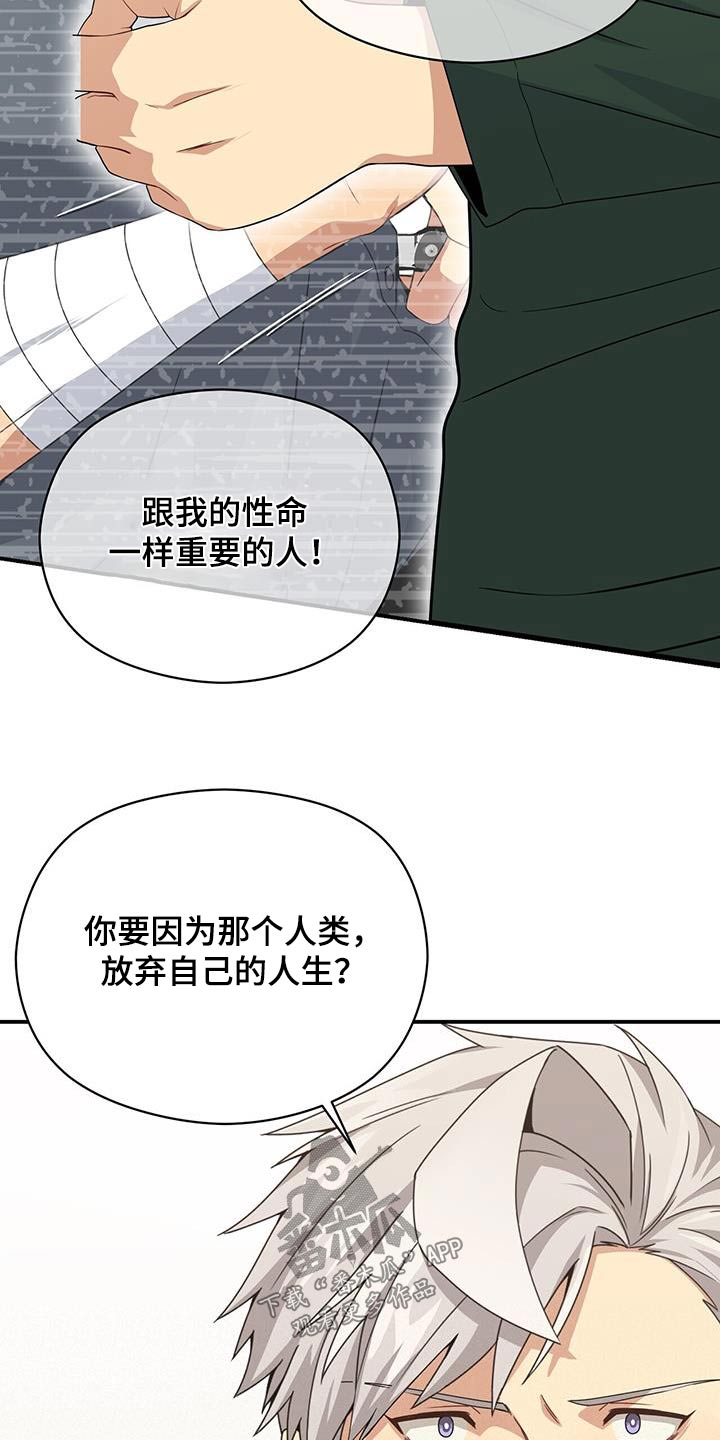 第146章：【番外】生命一样重要15