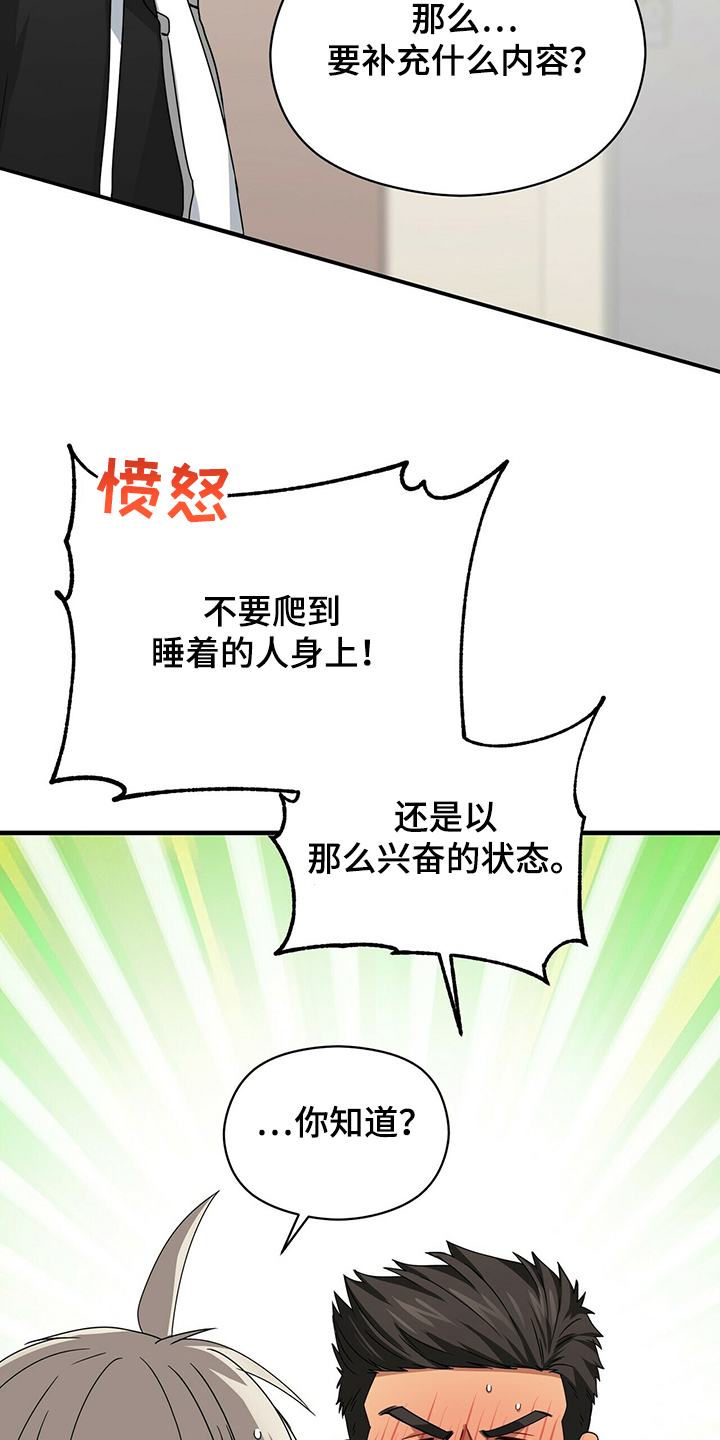 第56章：补充条约3