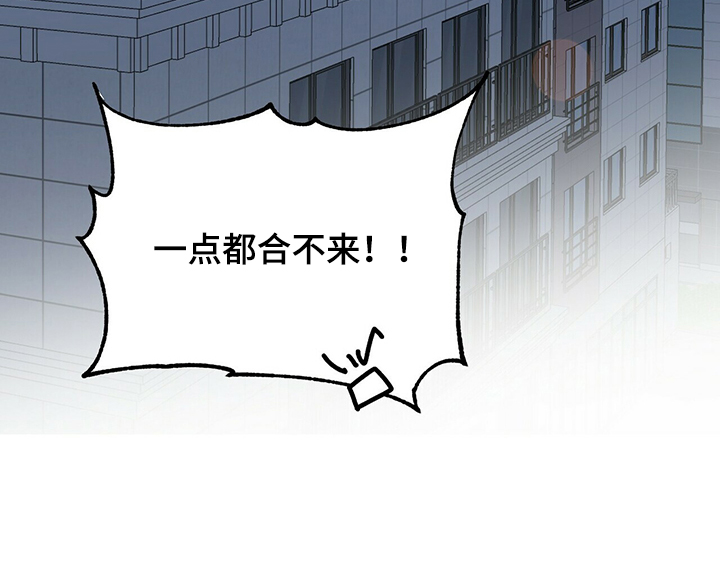 第56章：补充条约20