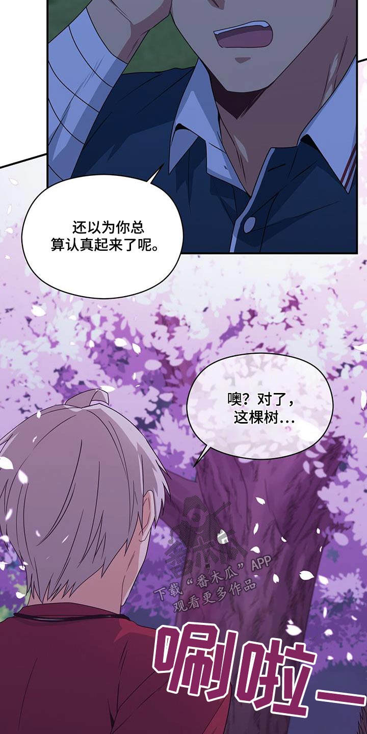 第124章：对不起16