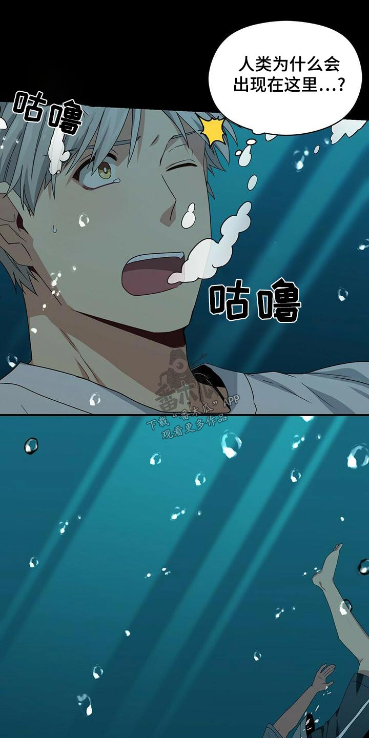 第110章：寻死4