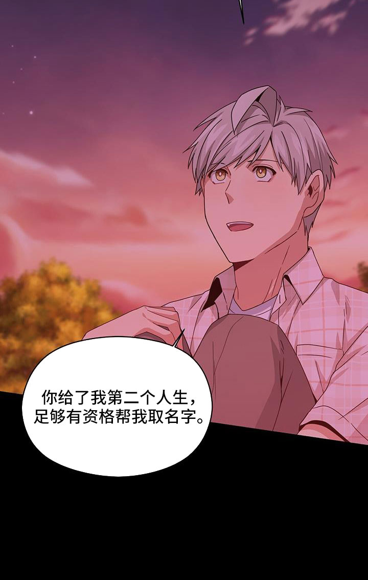 第129章：付出伤害我的代价11
