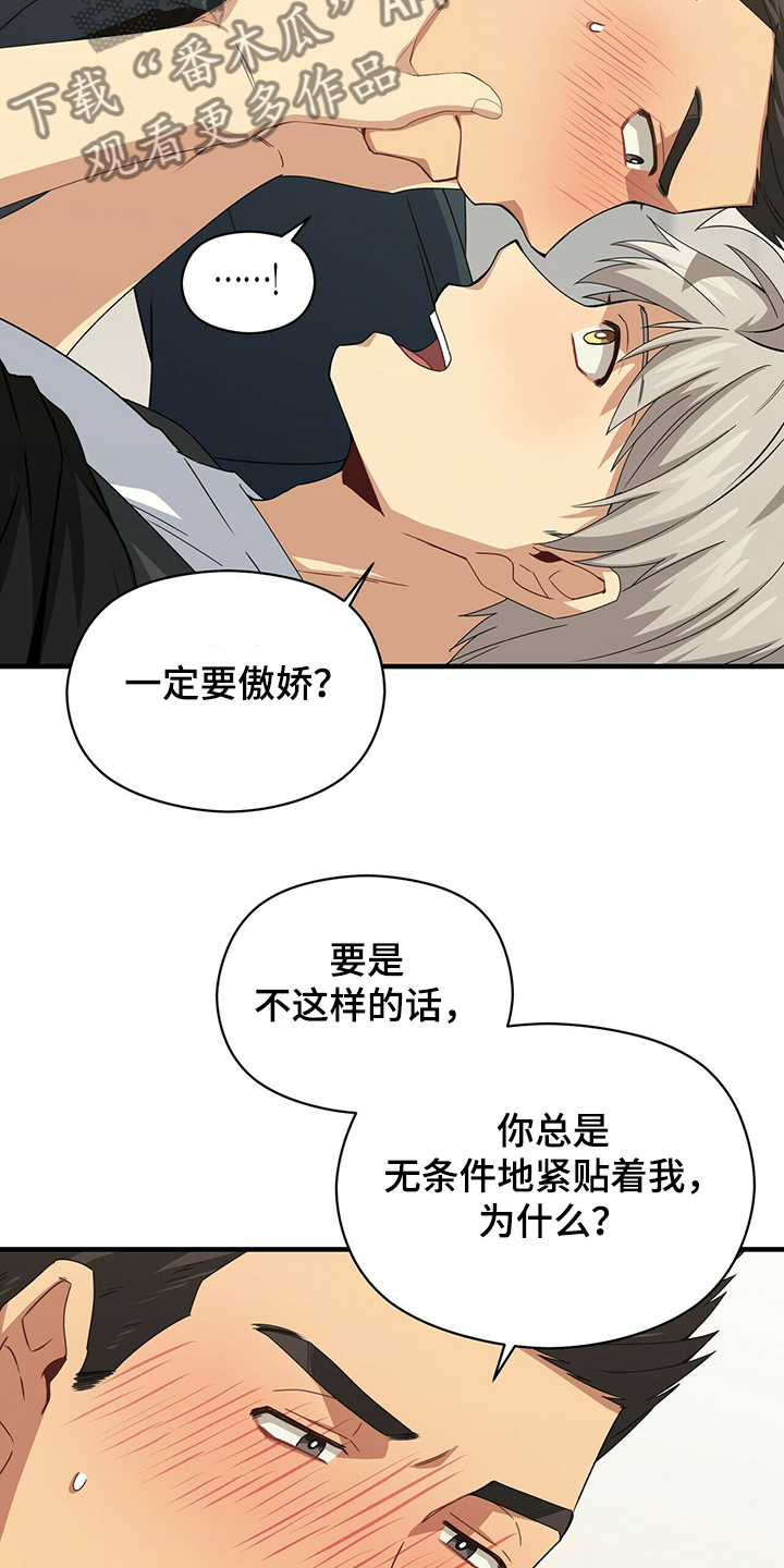 第56章：补充条约8