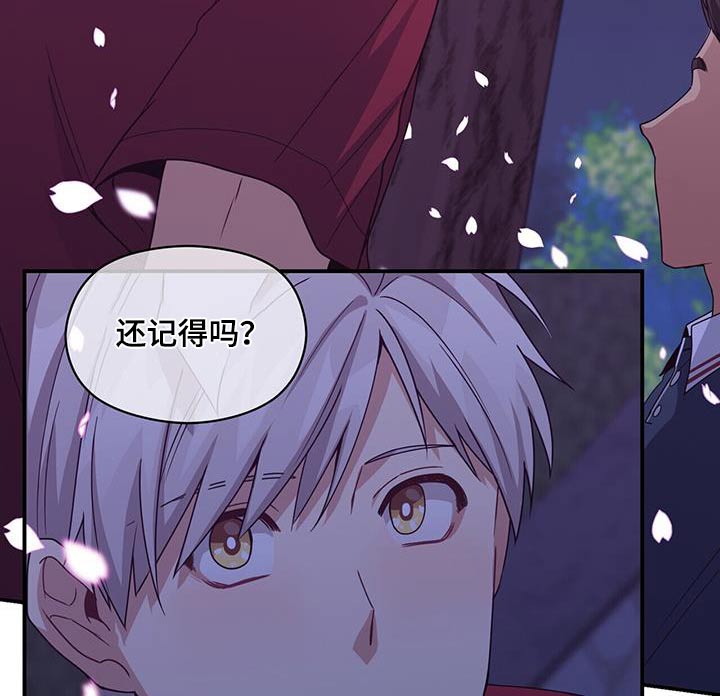 第124章：对不起17