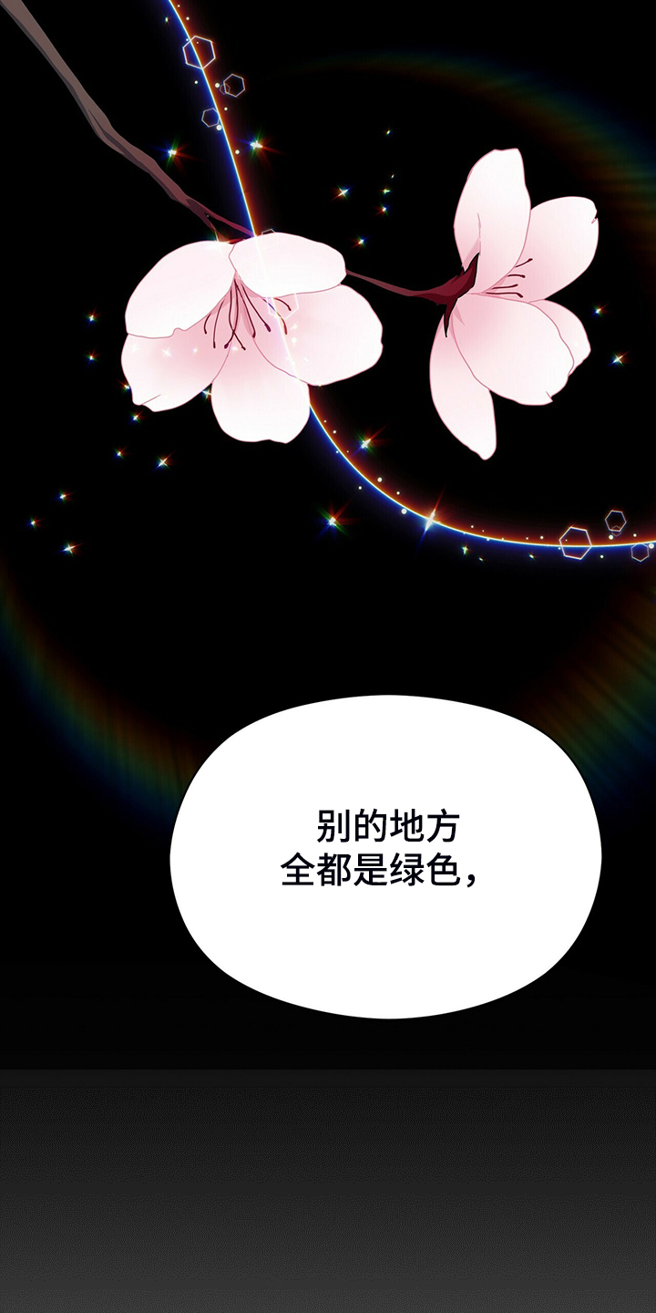 第72章：观察日记20