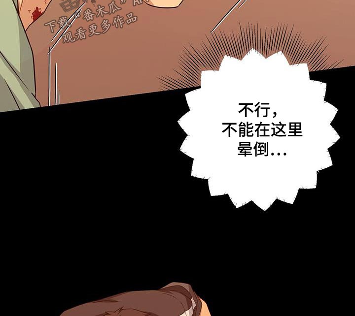 第117章：第二次机会19