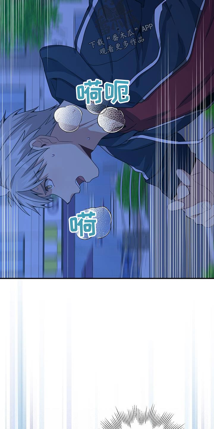 第115章：碎片17