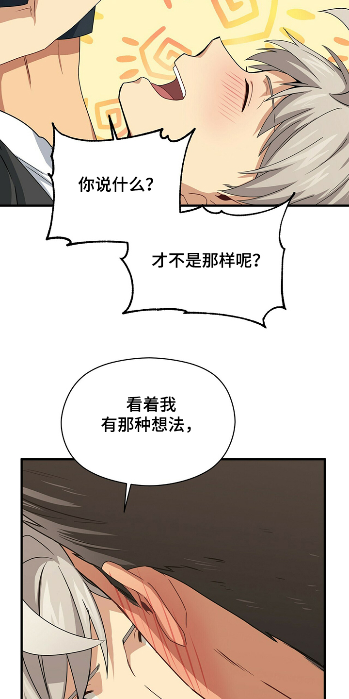 第56章：补充条约17