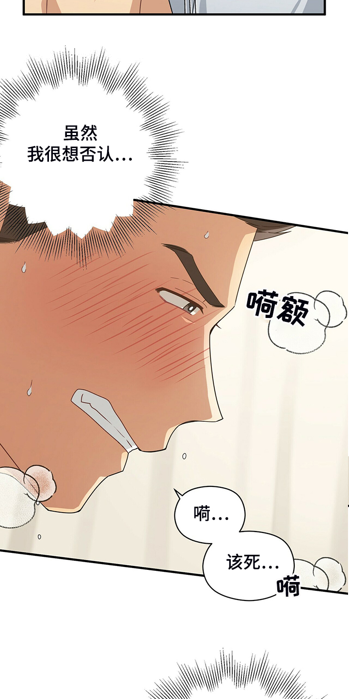 第66章：小围裙19