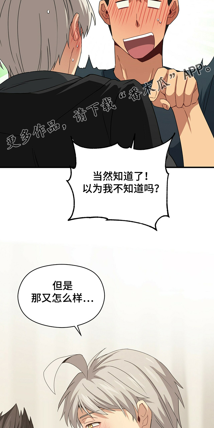 第56章：补充条约4