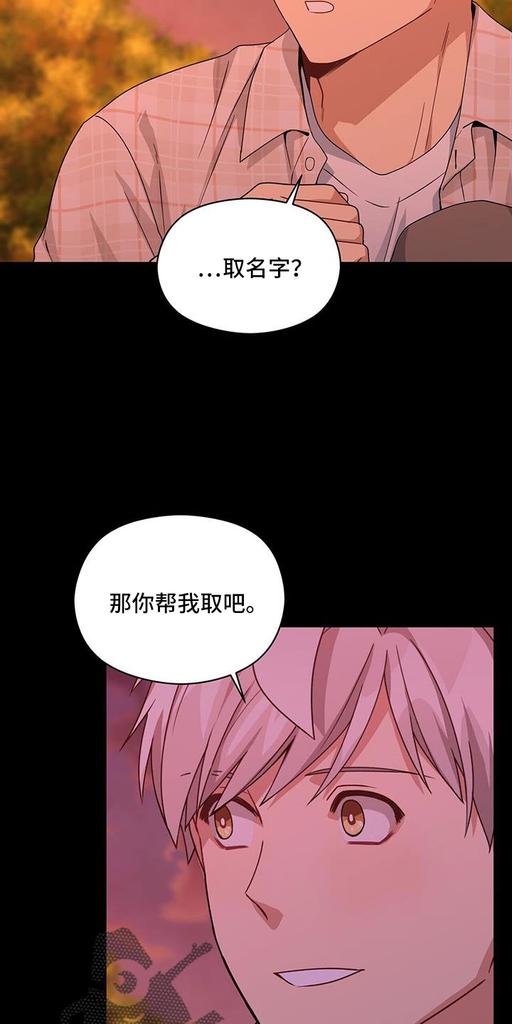 第129章：付出伤害我的代价8