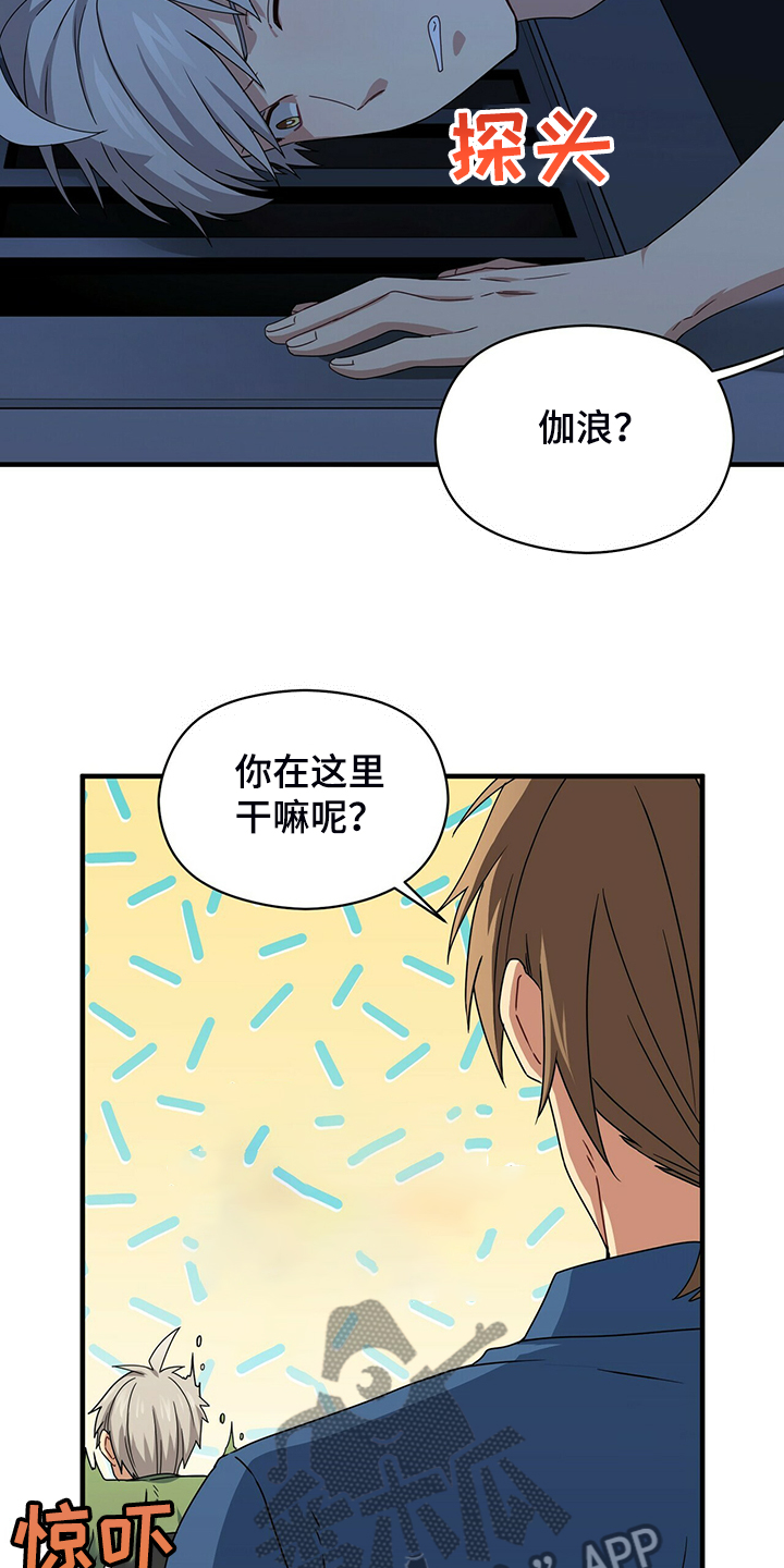 第68章：寻找失物21