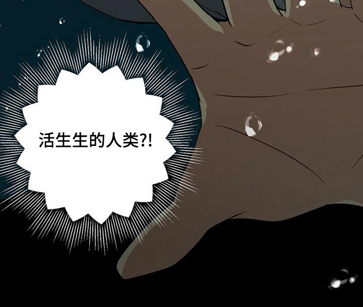 第110章：寻死3