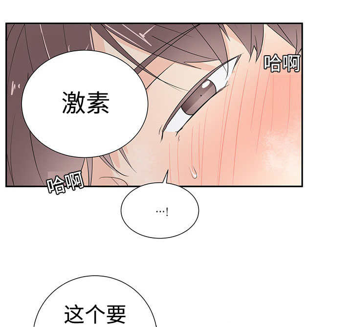 第2章：这是干嘛25
