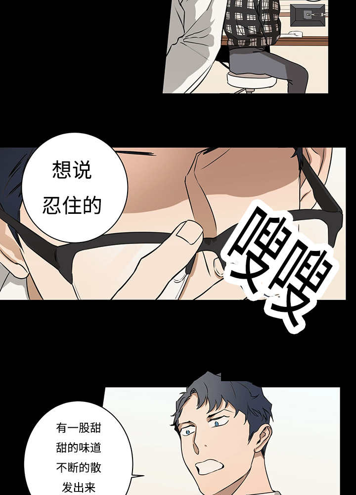 第11章：实际情况20