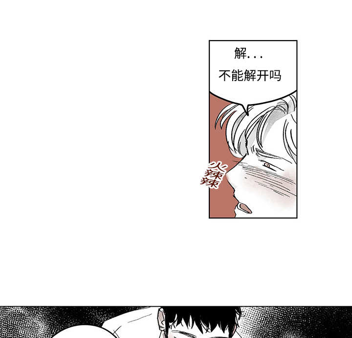 第15章：你很健康35