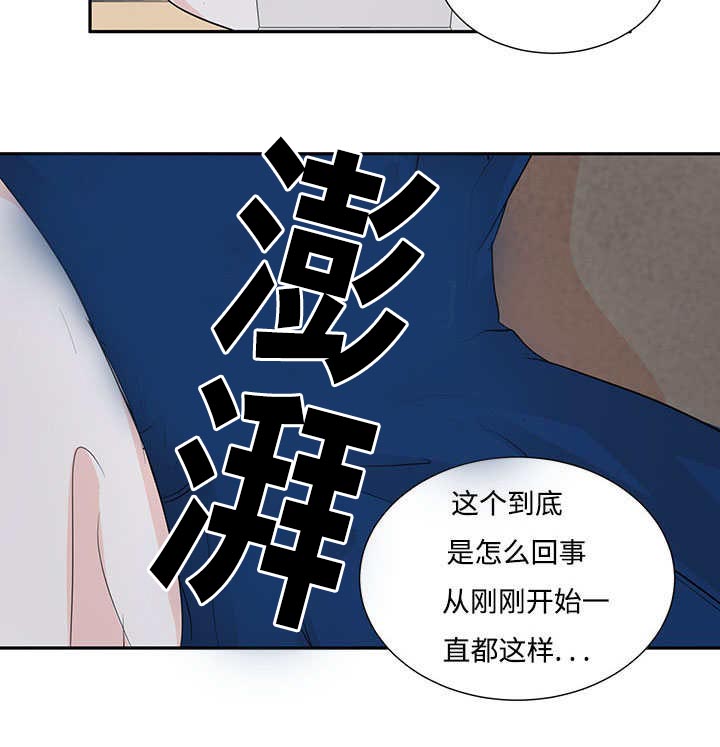 第1章：特殊材质26
