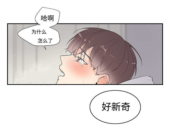 第3章：非常新奇19