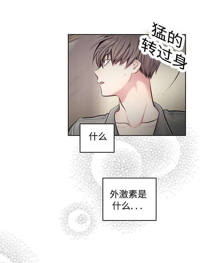第22章：怦怦心跳6