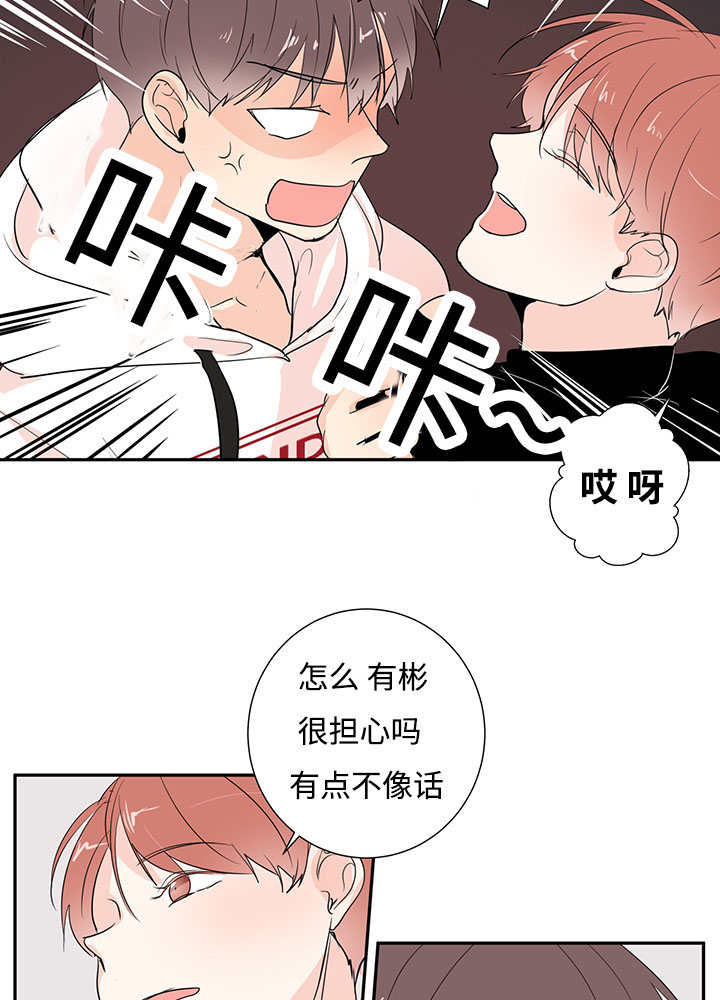 第1章：特殊材质21