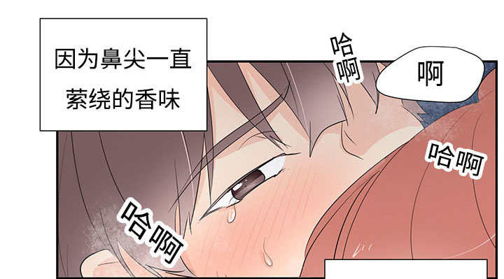 第3章：非常新奇1
