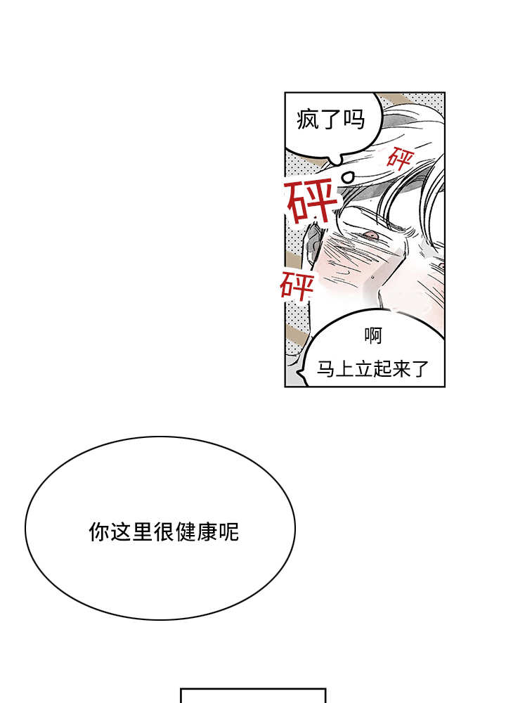 第15章：你很健康33