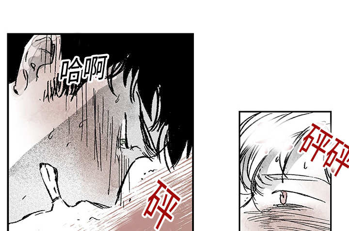 第15章：你很健康37