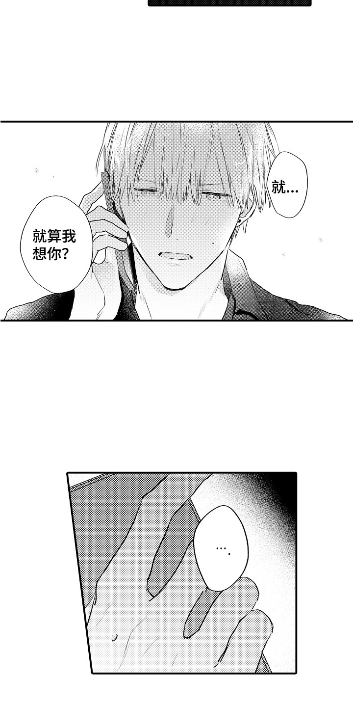 第21章：电话15