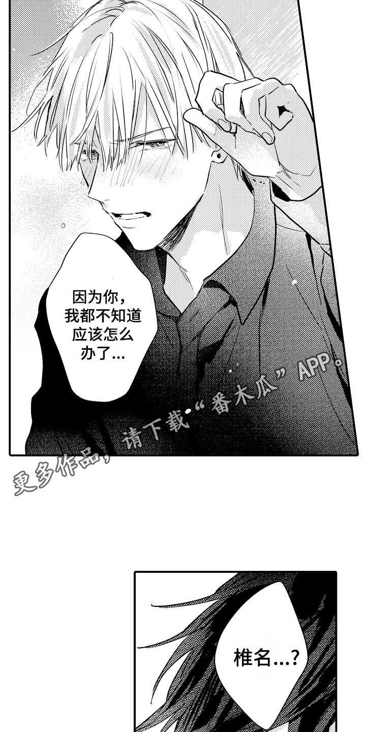 第15章：解释3