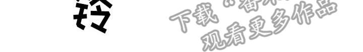 第12章：捉摸不透6