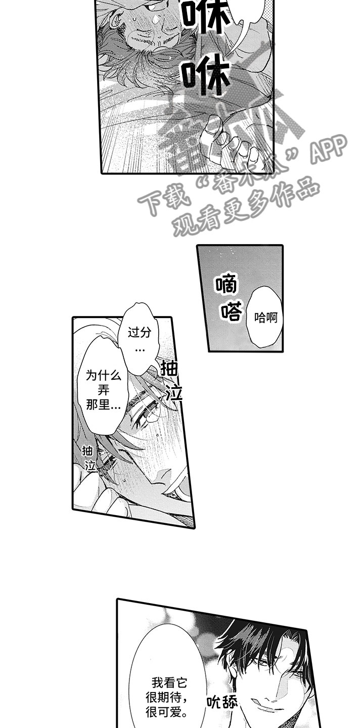 第27章：最后一步6