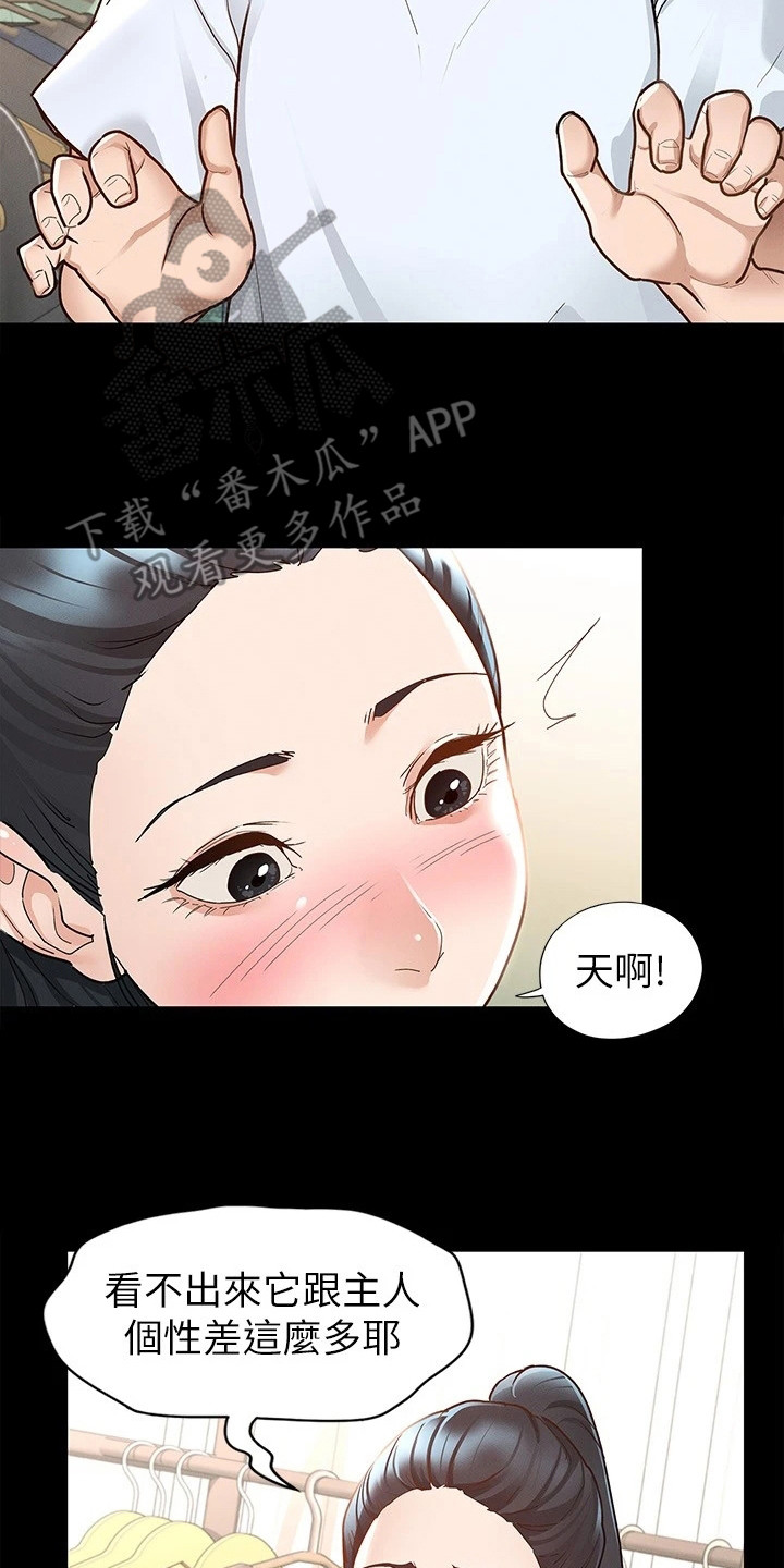 第18章：坦率一点7