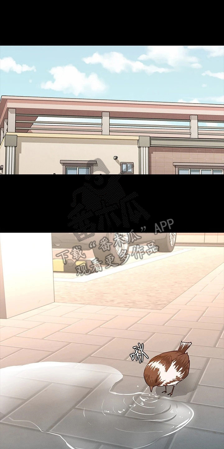 第21章：受欢迎16