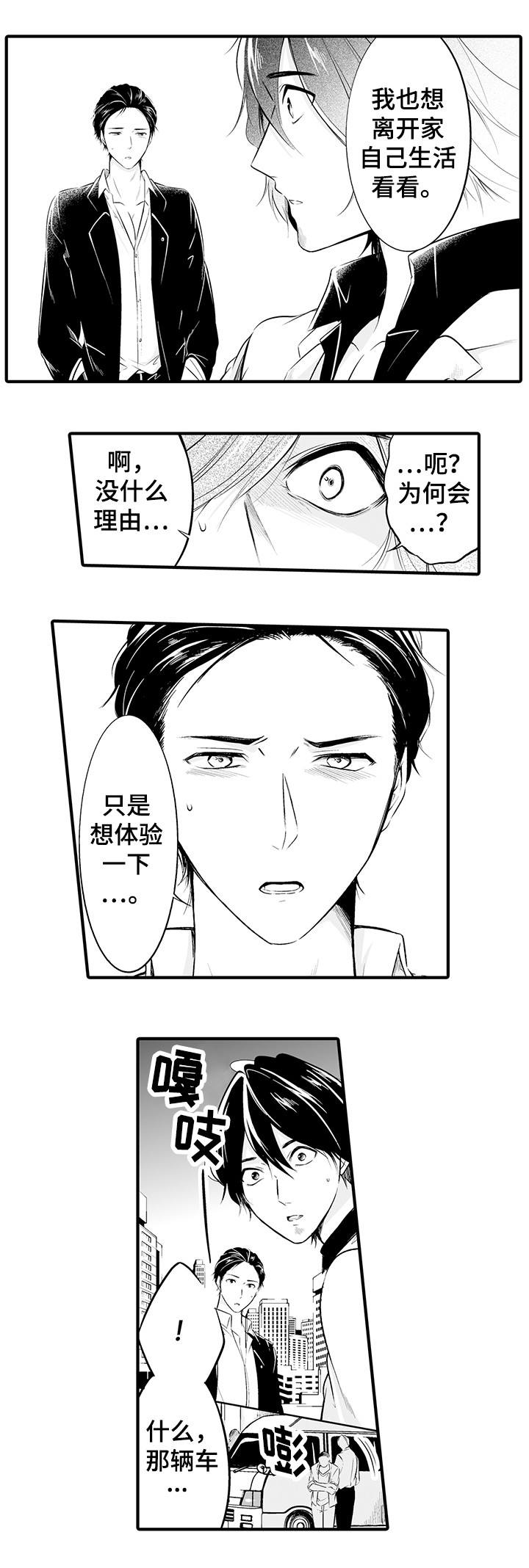 第2章：发生了什么11