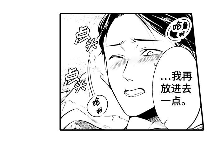 第16章：真的做5