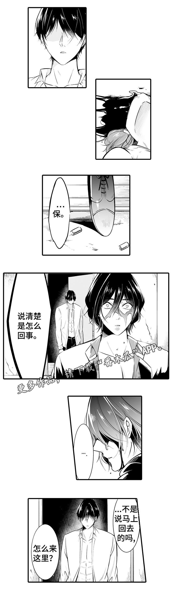 第18章：是你干的2