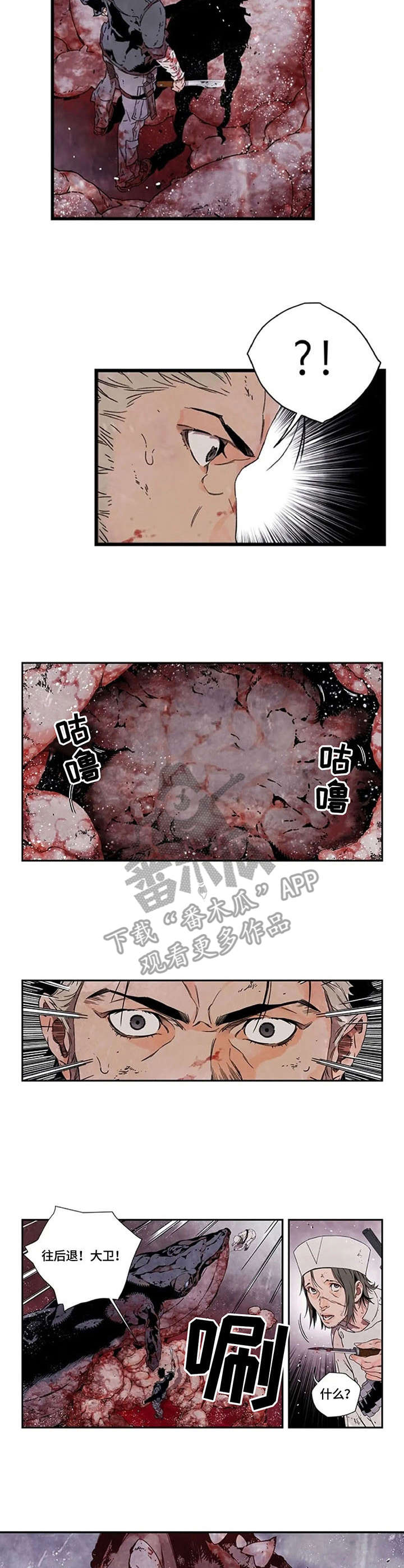 第9章：鲸鱼8