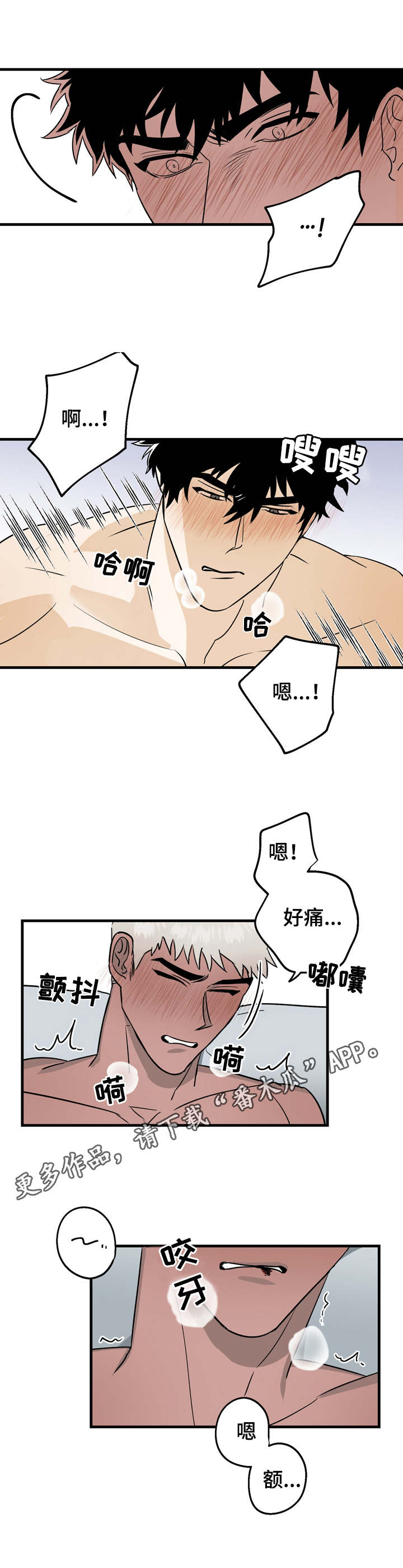 第17章：不用顾虑4