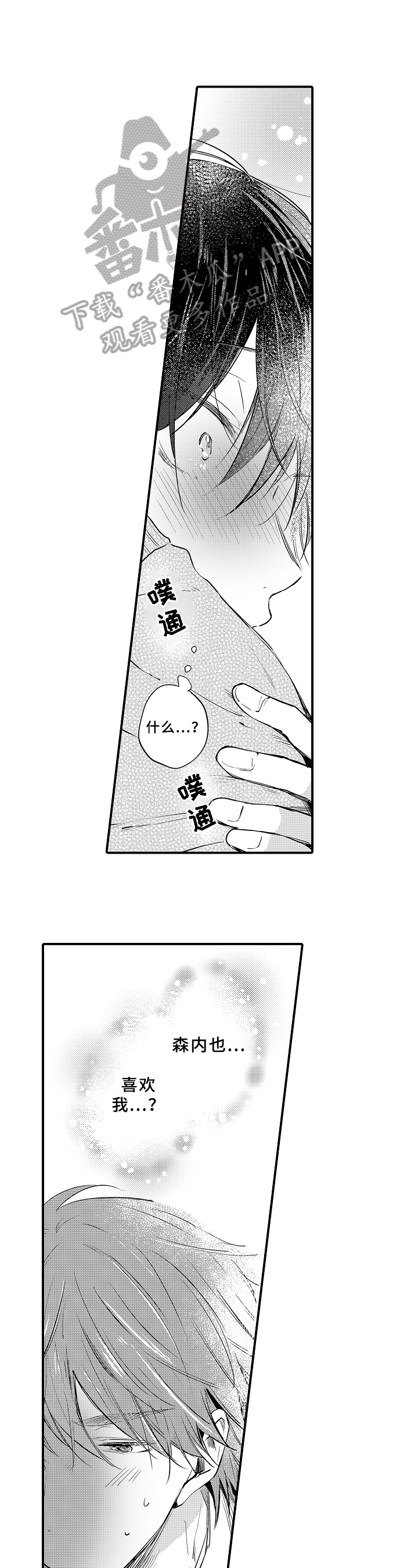 第31章：过程0