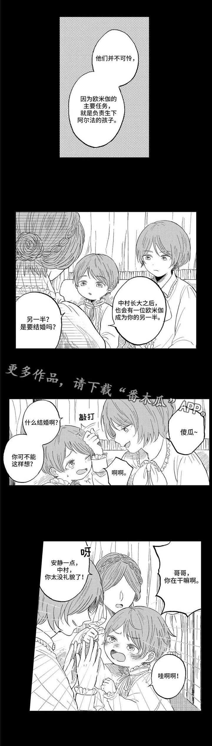 第21章：家族1