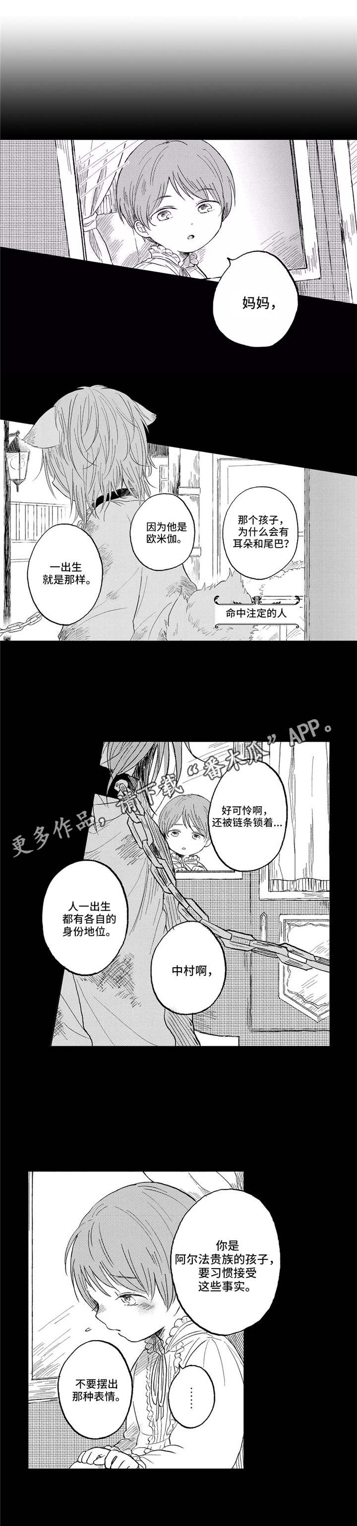 第21章：家族0