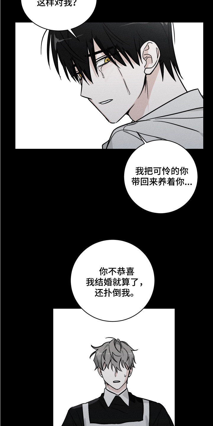 第9章：求饶11