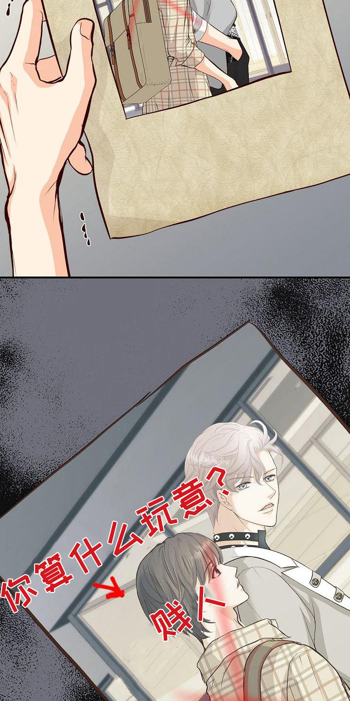 第78章：照片10