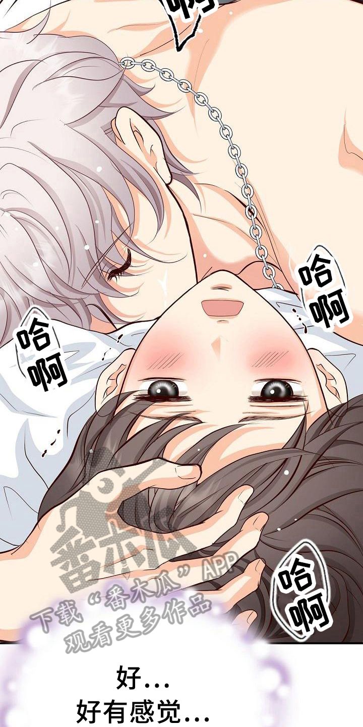 第29章：见证5